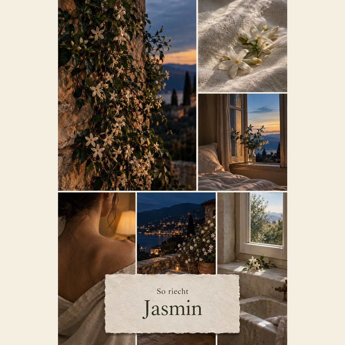 So riecht Jasmin