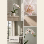 So riecht Orchidee